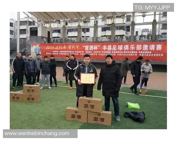 丰县足球明星队员名单详解及其在比赛中的表现分析