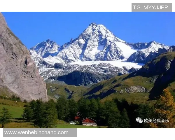 斯通斯乐队的音乐遗产与时代影响探讨之旅